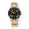 Top clone Tudor 1:1 replica Black Bay S&Gm79733n-0004 41mm