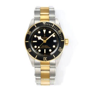 Top clone Tudor 1:1 replica Black Bay S&Gm79733n-0004 41mm