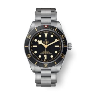 Top clone Tudor 1:1 replica Black Bay 58 39mm M79030N-0001
