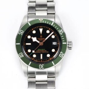 Top clone Tudor 1:1 replica Black Bay M79230G-0001 41mm