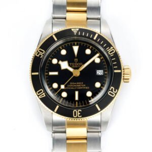Top clone Tudor 1:1 replica Black Bay S&Gm79733n-0004 41mm