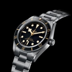 Top clone Tudor 1:1 replica Black Bay 58 39mm M79030N-0001