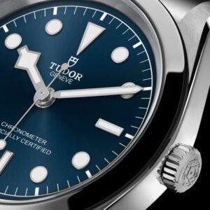 Top clone Tudor 1:1 replica Black Bay One 31 m79600-0002