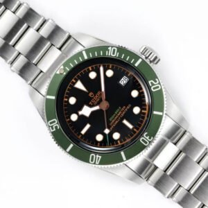 Top clone Tudor 1:1 replica Black Bay M79230G-0001 41mm