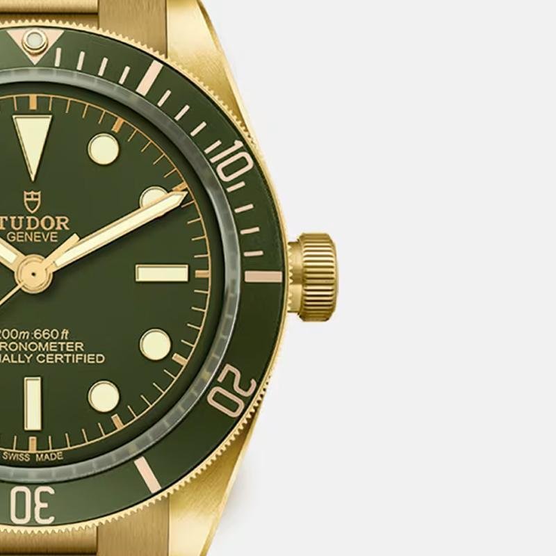 4 Top clone Tudor 1:1 replica Black Bay 58 18K 39mm m79018v-0006